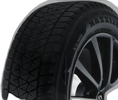 Bridgestone Blizzak DM-V2