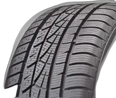 Hankook Winter i*cept evo W310