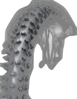 Dunlop GEOMAX MX12