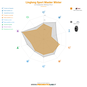 Linglong Sport Master Winter Miniatura 1200x1200