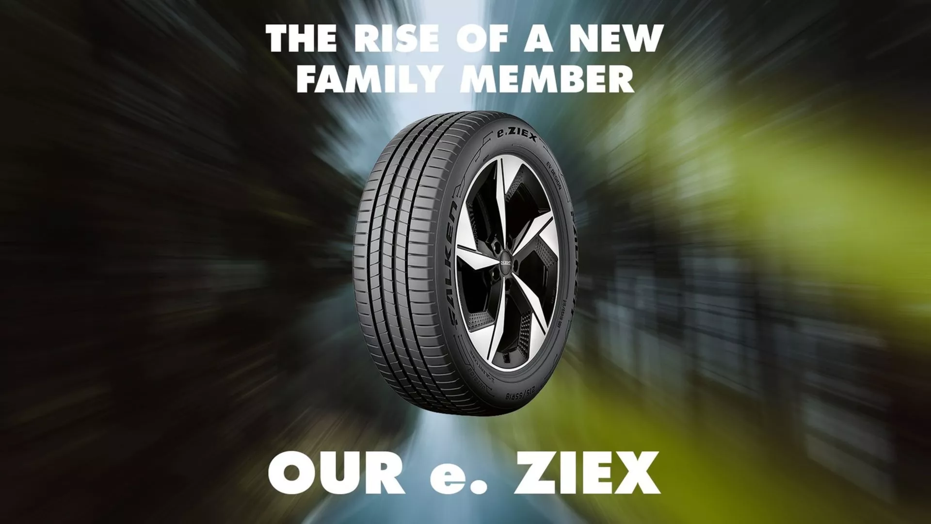 Falken e.Ziex Immagine