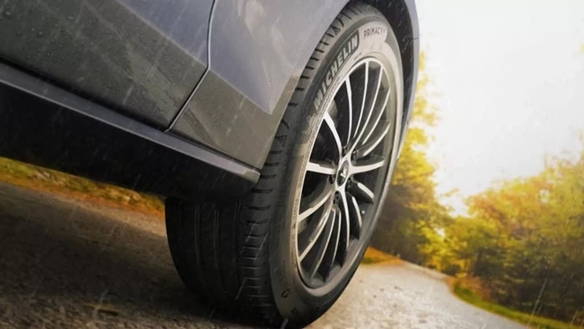 Michelin Primacy 4 Immagine