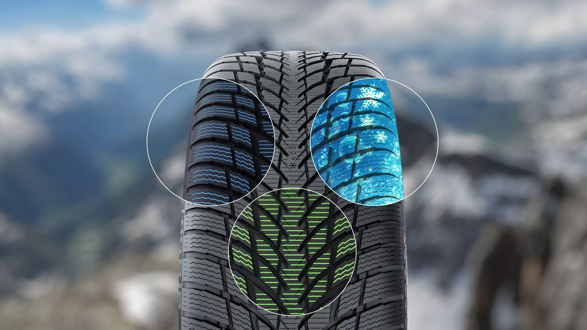 Nokian WR Snowproof P Immagine