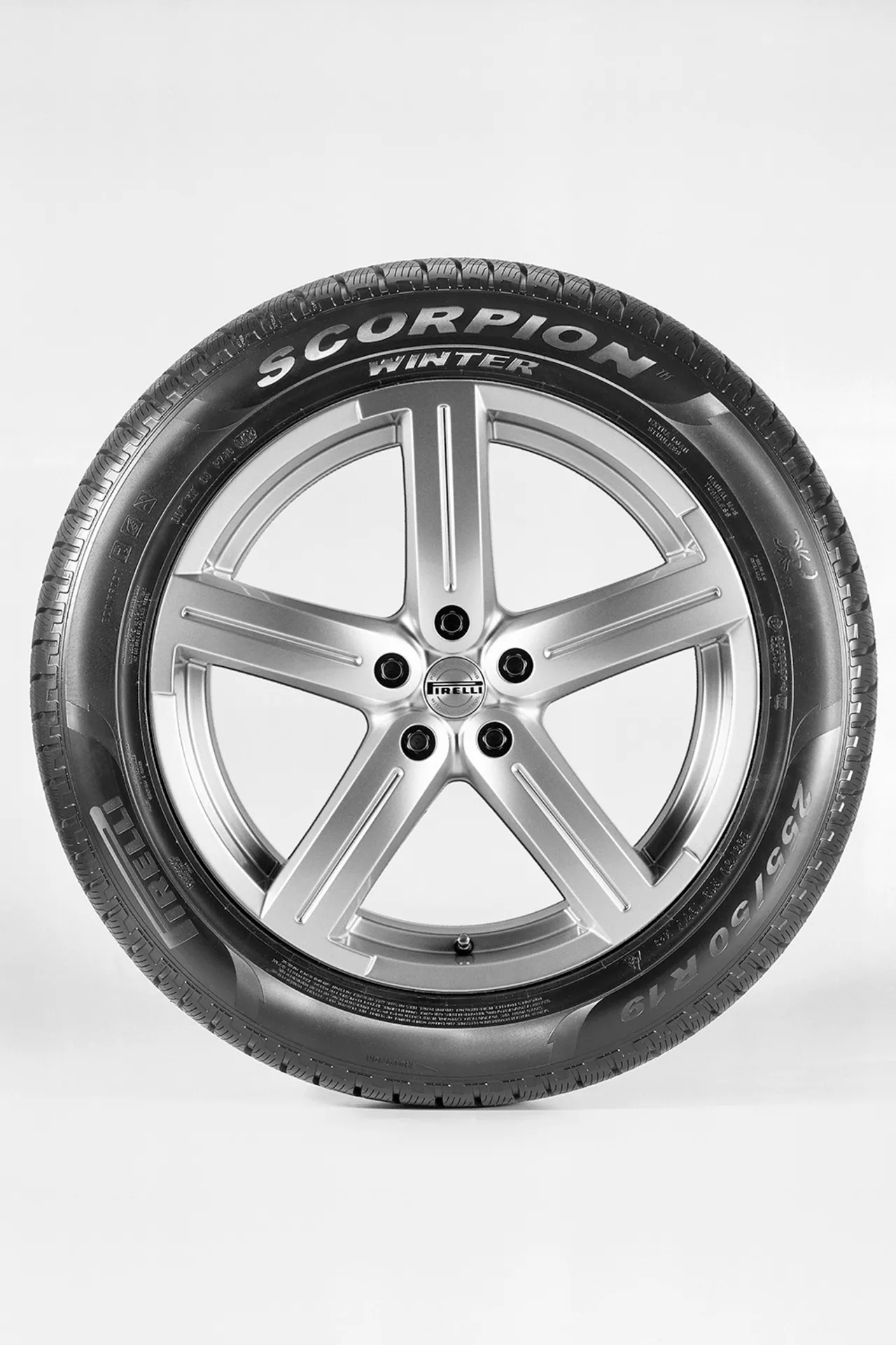 Pirelli Scorpion Winter Immagine